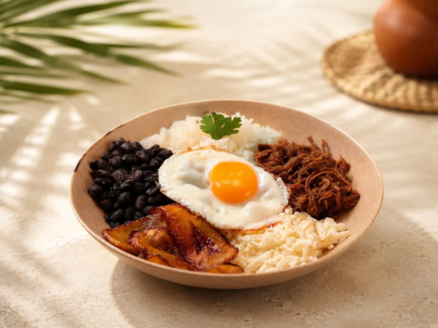 Pabellón Bowl mit Reis, gezupftem Rindfleisch, schwarzen Bohnen, gebratenen Kochbananen, Hirtenkäse und Spiegelei.